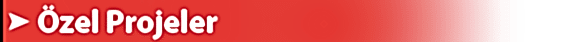 Özel